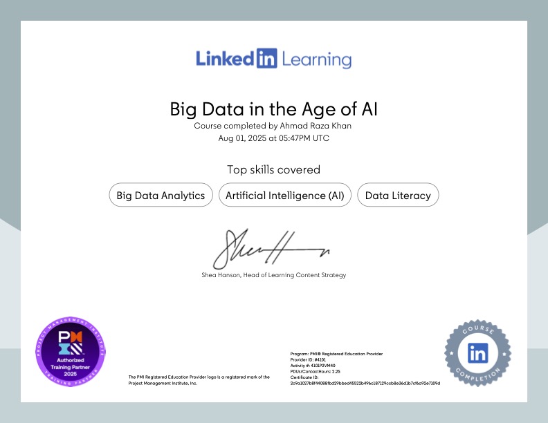 Big Data in the Age of AI